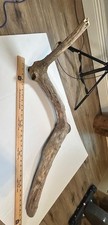 Driftwood Taxidermy Terrarium Long With Bends Aquarium