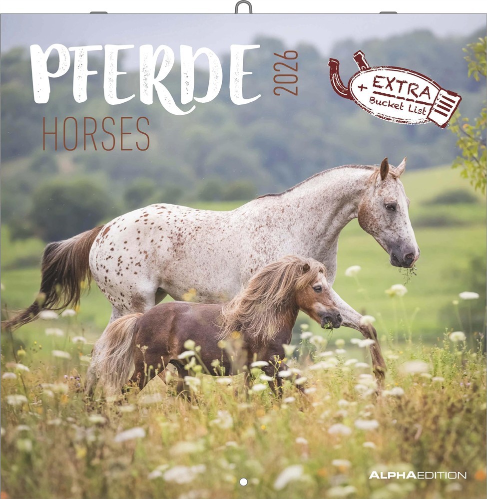 Horses calendario 2026 30x30 cm - AA.VV.
