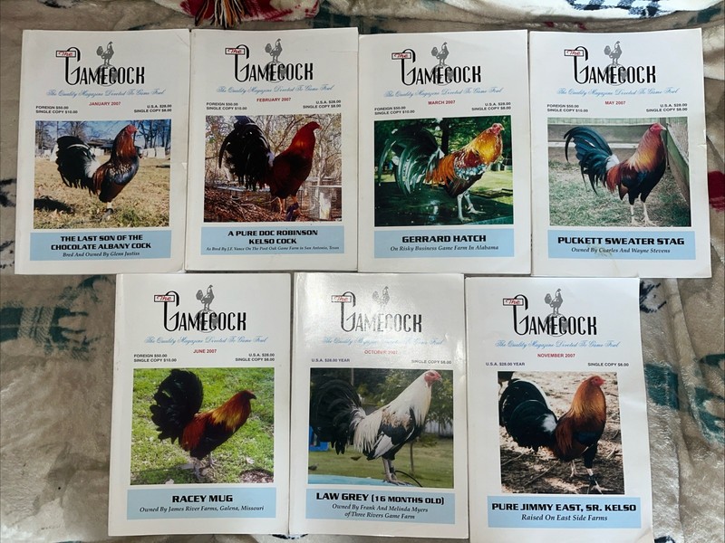 The Gamecock Magazine *Lot of 7 Issues* 2007 January-November