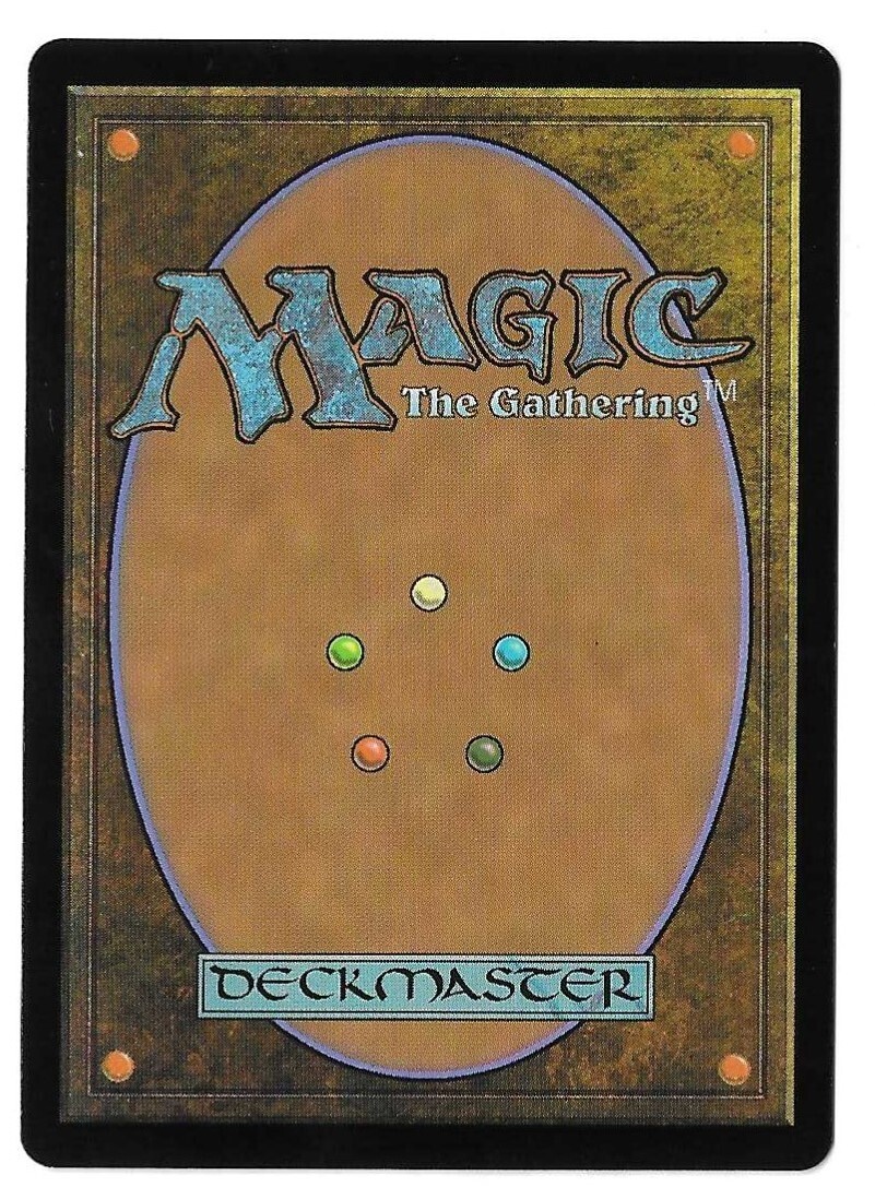 MTG Forest Full Art FOIL Outlaws of Thunder Junction (OTJ) Magic