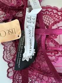 Lise Charmel Sublime en Dentelle Embroidered Tulle Triangle Bra Size 34B