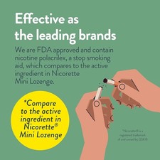 Nicotine Polacrilex Mini Lozenge, Stop Smoking Aid, 2 mg Mint 135 Count