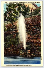 Vintage Postcard Close Up Of The Big Spring Linen Home Huntsville Alabama USA