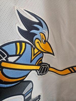Phoenix Roadrunners Vintage ECHL Reebok 1.0 CCM Jersey SZ L | eBay