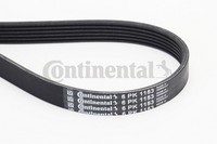 Continental Ctam 6PK1153 Keilrippenriemen FüR Bmw, CitroëN, Dacia, Ds, Fiat,
