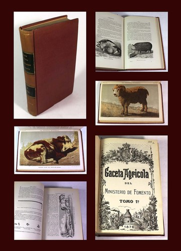Gaceta Agrícola del Ministerio de Fomento Tomo 1 1876 - Imagen 1 de 10