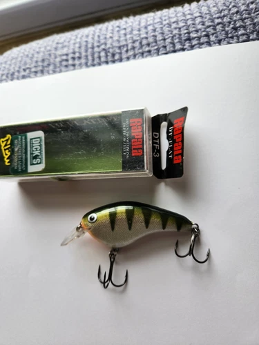 Rapala Dives To 3 FT DTF 3 Flat Lure Yellow Perch YP - NIP