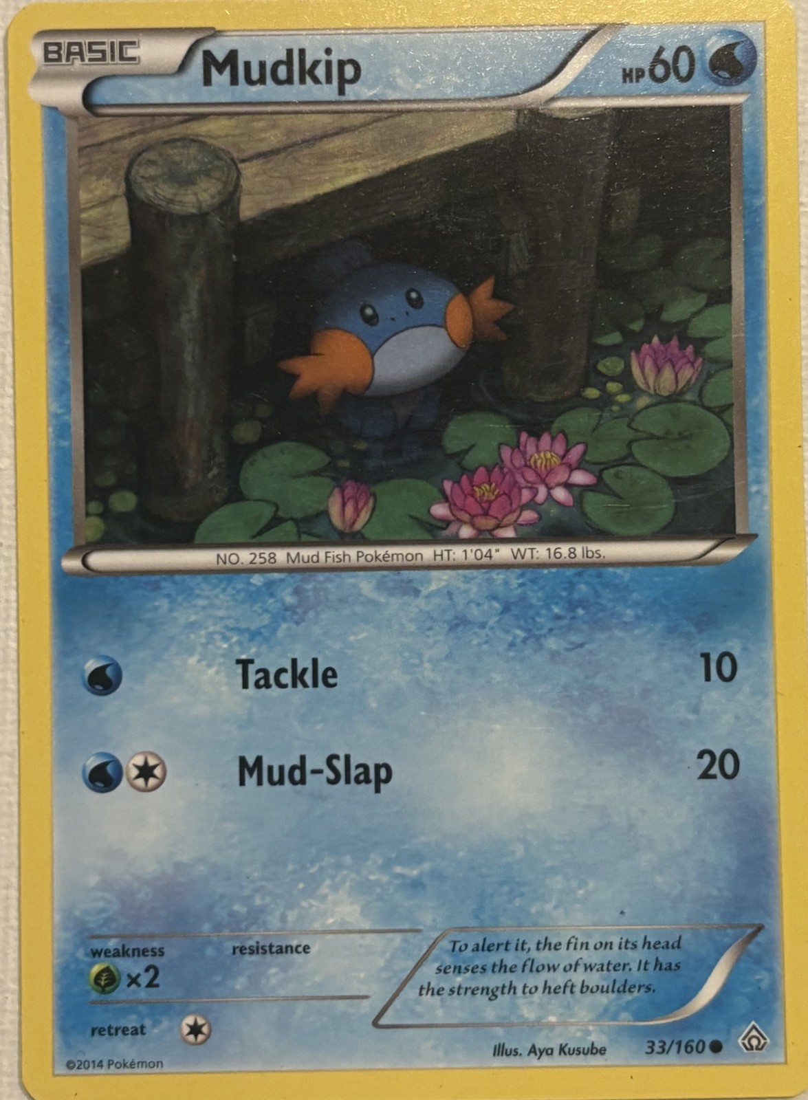 Mudkip 33/160 Common XY - Primal Clash Near Mint