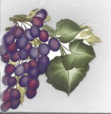 NEW- Donnas 10 Large GRAPE VINE Wallpaper Cutouts 17617-Factory Sealed