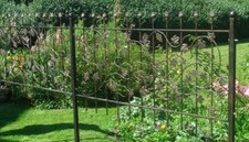 Schmiedeeisen Zaun Rank Zäune Bachus-Z100/200 SG