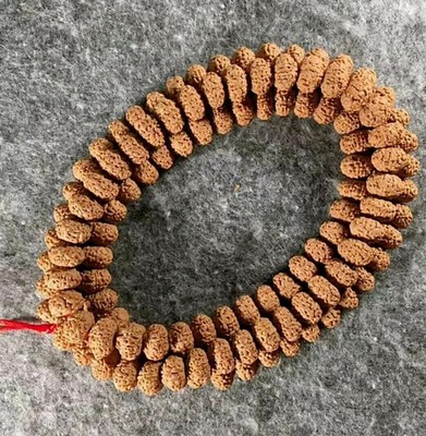 Rare 9 Mukhi Rudraksha Mala / Rare Durga Shakti Mala   109 Beads
