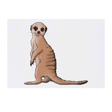 'Meerkat Pup' Temporary Tattoos / Transfers TO00042194 