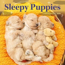 Carousel Calendars,  Sleepy Puppies 2026 Wall Calendar, 12'' X 12'', 16-Month Ca