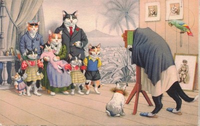 Dressed Cats Family Portrait Camera Dog Parrot Vintage Mainzer Fantasy Postcard
