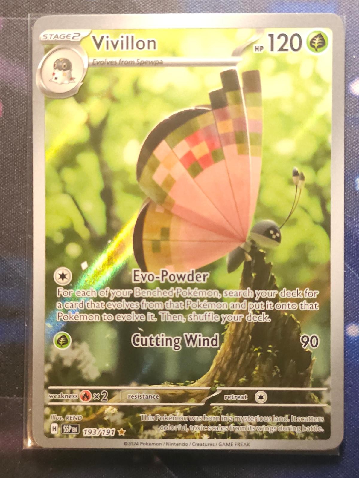 VIVILLON 193/191 ILLUSTRATION RARE SURGING SPARKS POKEMON HOLO NM
