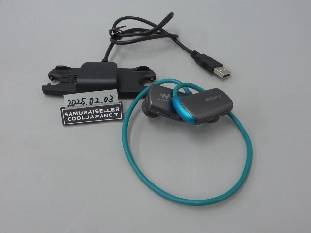 SONY Walkman W Series NW-WS615L 16GB Integrated Headphone