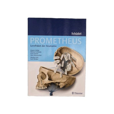 Prometheus Lernpaket Anatomie Schädel von Jürgen Lüthje (2016, Mixed Media...