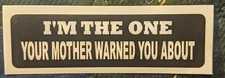 The One Your Mom Warned You About Motorcycle Helmet Sticker Biker Helmet Decal