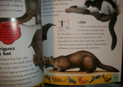 Endangered Animals Dictionary : An a to Z of Threatened Species by