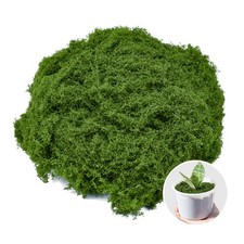 Fake Green Moss 5.3 oz Decorative Artificial for Crafts retro colour