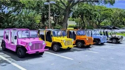 Different Moke Bimini Top Patterns for sale