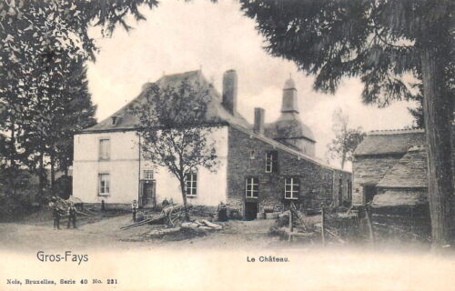 Reproduction photo d'une carte postale de Gros-Fays : le château - Zdjęcie 1 z 1