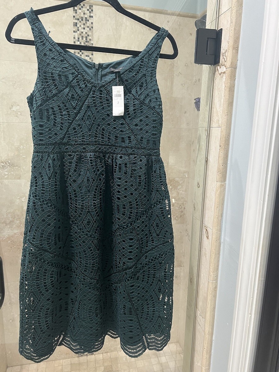 ann taylor scalloped lace dress Ann Taylor Scalloped Lace Dress