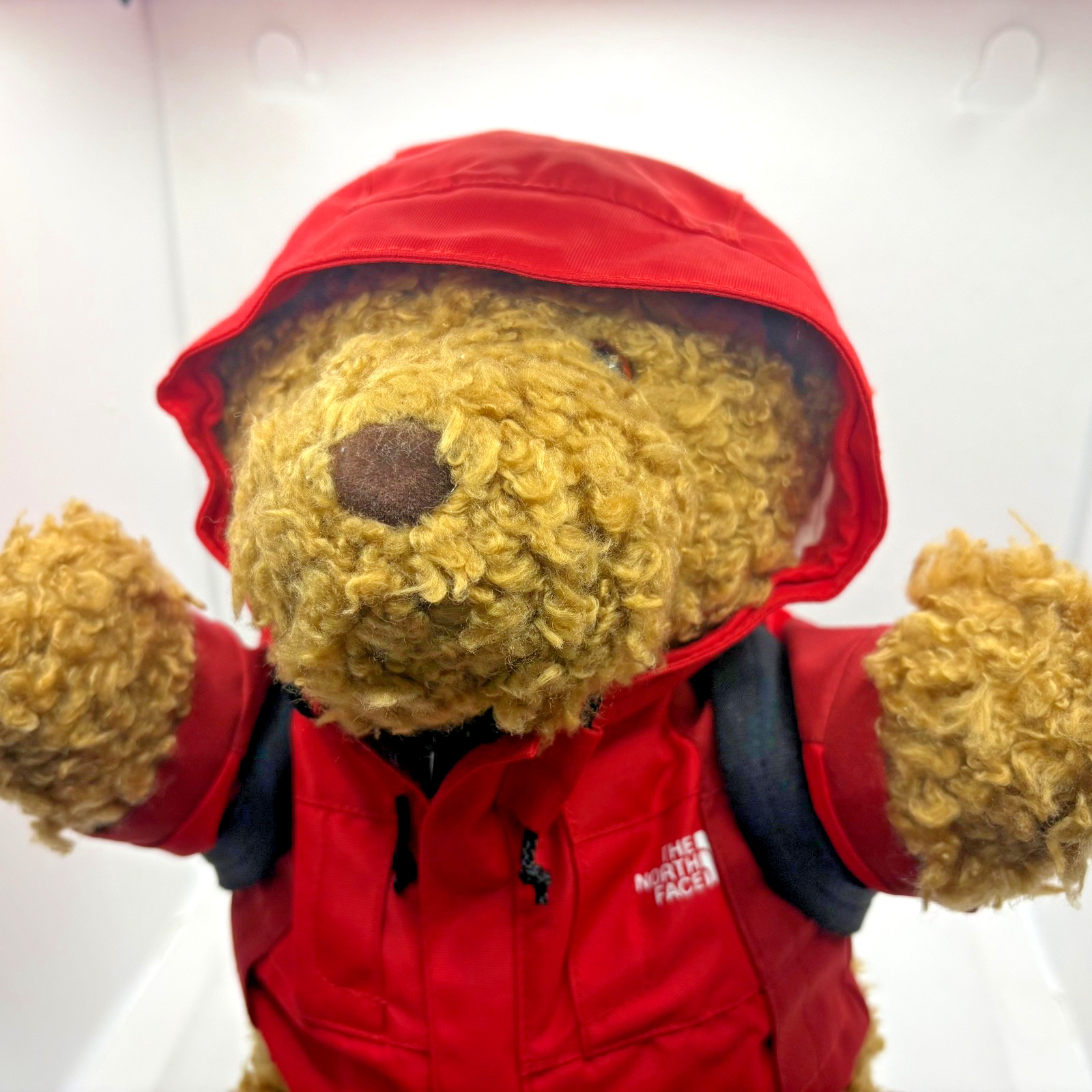 RARE North Face Stuffed Teddy Bear Japan Exclusive Plush GORE TEX MTN JACKET RED thumbnail 3