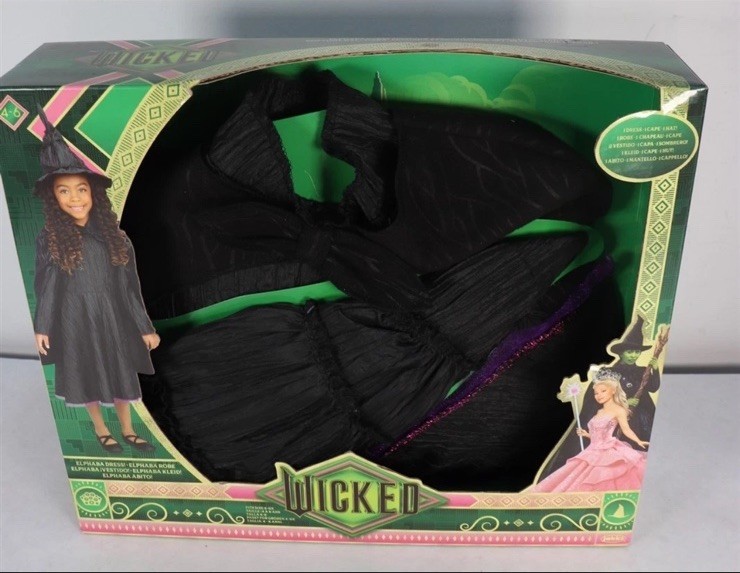 Wicked Deluxe Elphaba Black Defying Gravity Dress Up Set W/ Hat Size 4-6x