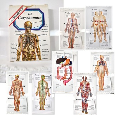 Vintage Le Corps Humain Card Deck Human Body Game Heron Savoir Plus 44 In French