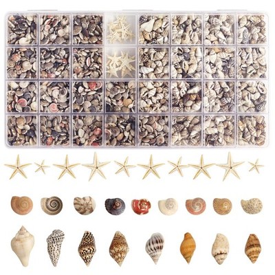 2000 PCS Tiny Sea Shells Mini Shells for Crafting & 20 Small Starfish for Fis...