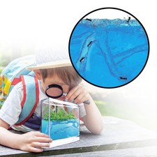 Monsterzeug Gel Ökosystem - Ameisenfarm, Lernspielzeug Ameisen Terrarium