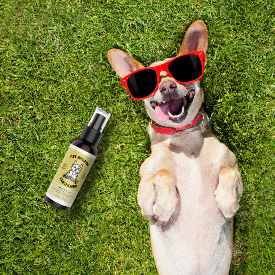 Dog Dental Oral Care Cat Pet Spray Breath Freshener Protects Gums and Teeth - Image 3 of 4