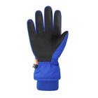 Afbeelding 3 van 5