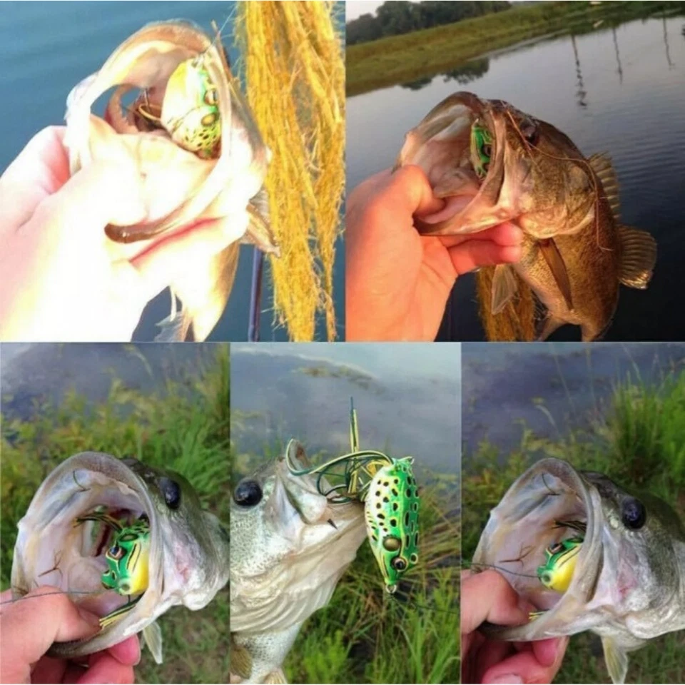 5x Señuelos de Pesca de Alta Calidad Rana Topwater Crankbait Ganchos Aparejos de Cebo de Lubina NUEVO Foto 3 de 4