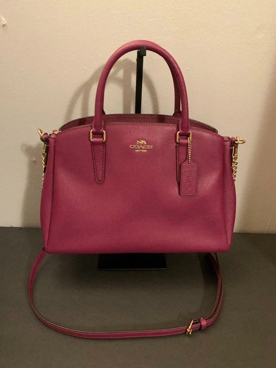 Mini sage carryall coach sale