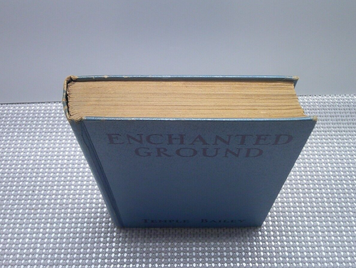 Enchanted Ground, 1933 Temple Bailey Grosset & Dunlap - Picture 4 of 15