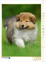 Calvendo Puzzle A Collie Puppy On An Adventure | 1000 Pieces, Finished Size 25.2