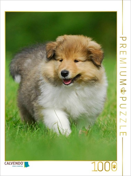 Calvendo Puzzle A Collie Puppy On An Adventure | 1000 Pieces, Finished Size 25.2-image