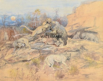 Charles M Russell - Wolf Bear Lion Attack Wilderness - 8.5x11'' Paper REPRO