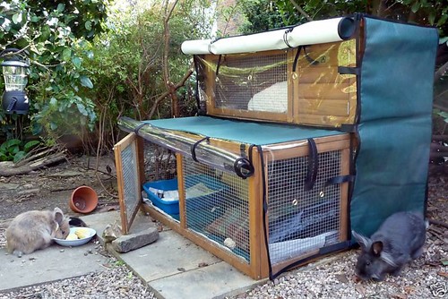 RABBIT HUTCH COVERS MADE TO MEASURE - Picture 3 of 12