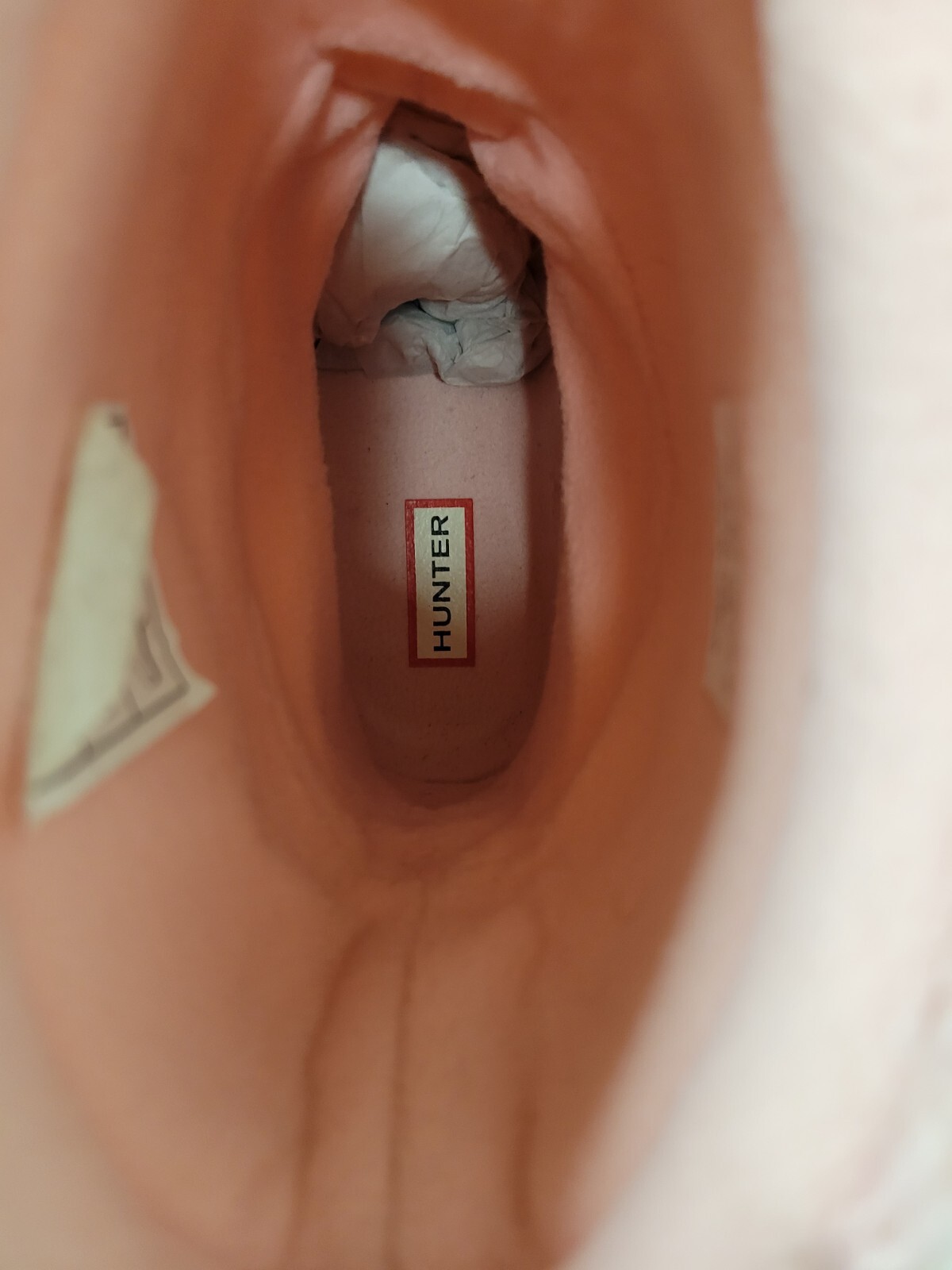 Picture 12 of 13