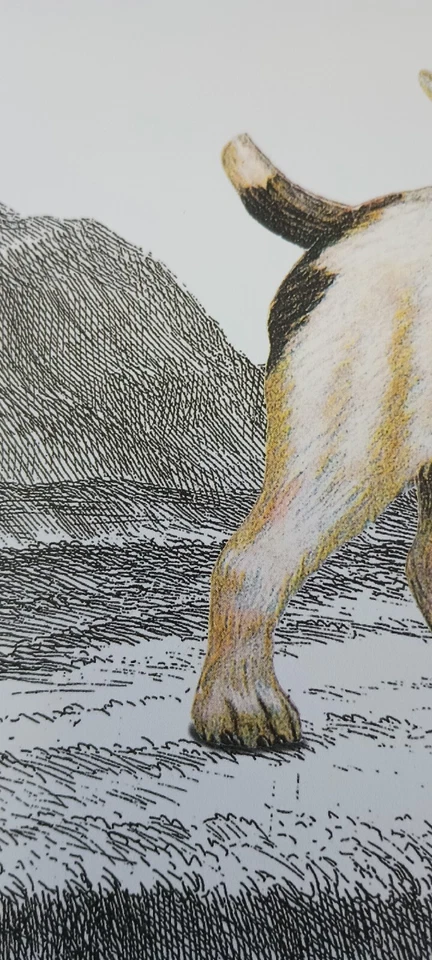 Tarjeta de primeros auxilios de San Bernardo Puppy Get Well Soon de los Alpes suizos italianos Cruz Roja Foto 3 de 4