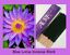 thumbnail 2  - Aura Incense Sticks Home Cleansing Blessing Amazing Aromas (20 Sticks/Pack)