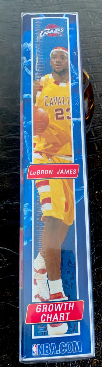 Lebron james life size poster clearance