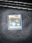 Junior Island Adventure (Nintendo DS, 2011)