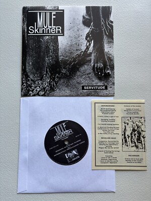 洋楽 Mule skinner/abuse (sludge records) Beyond The Abuse 1991