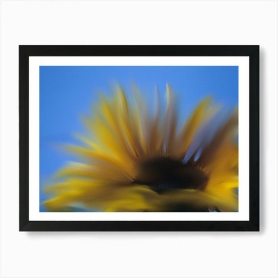 Sonnenblume in Bewegung verschwommen Waterco gerahmtes Wandbild Poster Leinwanddruck Bild