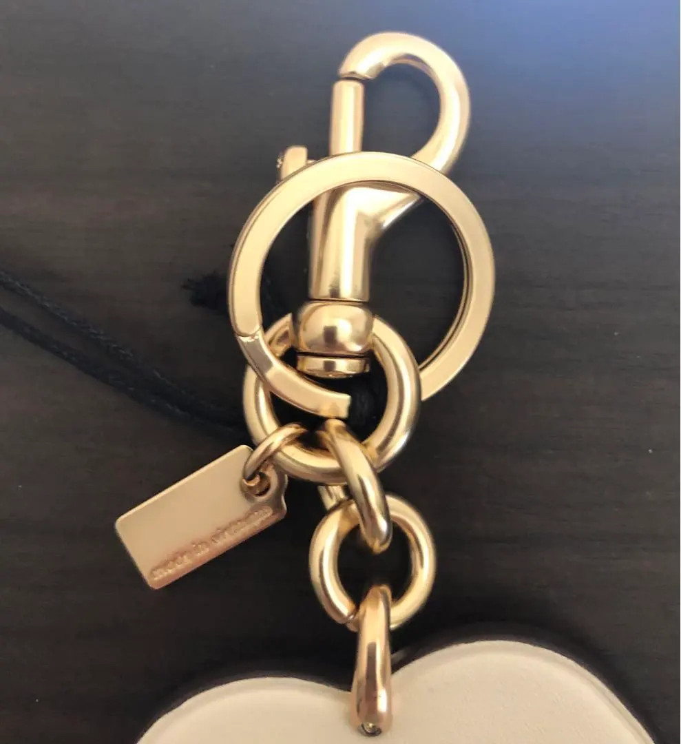 New COACH x PEANUTS Snoopy Bag Charm Keychain NEW FS | eBay