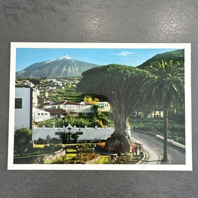 Postkarte Teneriffa   Icod Der Weine  El Teide Ansichtskarte Ak 2176 